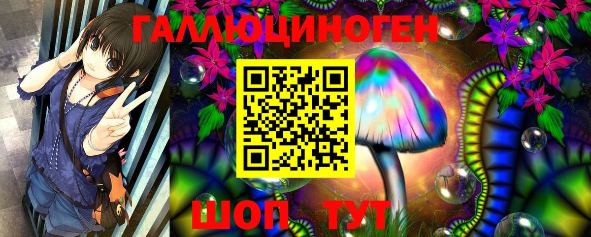 купить наркотики сайты  Псилоцибиновые грибы Cubensis  Вход с VPN  Курчатов 